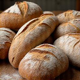 Assortment of artisan bread.